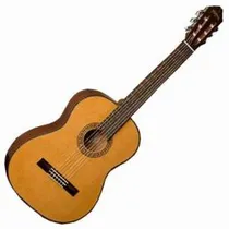  Washburn Vi...