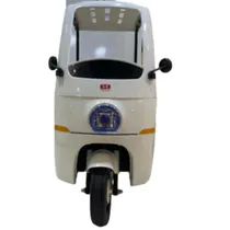  Triciclo Ki...