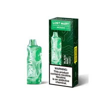 Lost Mary 5000 Black Mint