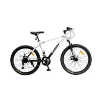  Bicicleta C...