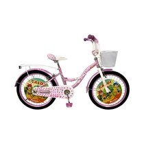 Bicicleta Ca...