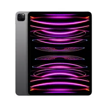  iPad Pro Ap...