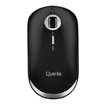  Mouse Quant...