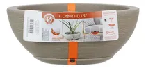  Floridis Ma...