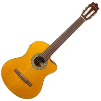  Ibanez Viol...