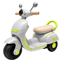 Moto Elétric...