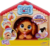  MY Puppy´s ...