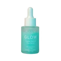  Alluvi Labs...