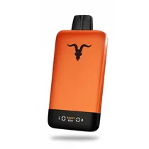Vaper Descartável Ignite V155 Ultra Slim Orange 15.5K Puffs - Icy Mint