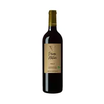  Vino Gerard...
