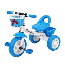  Triciclo In...
