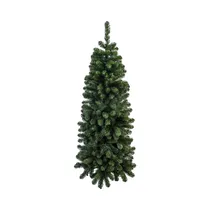  Árbol de Na...