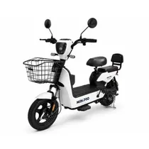  Moto Electr...