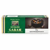 Tabacco Gudang G Menthol 20