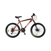  Bicicleta C...