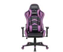 Max Racer Si...