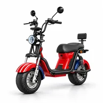 Moto Eletric...