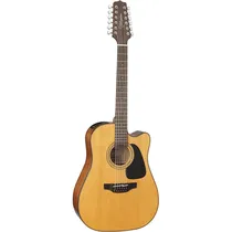 Takamine GD...