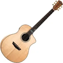 Washburn BT...