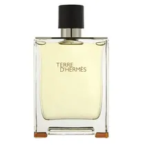 P.TT.Hermes Terre D'Hermes H Edt 100ML