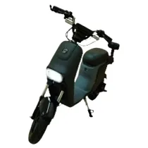 Moto Elétric...