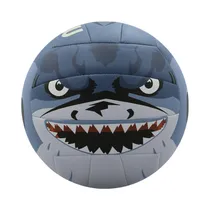Pelota de Vo...