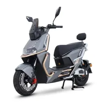 Moto Elétrica Tailg T73 1000W Cinza/Dourado 72V35AH No Paraguai