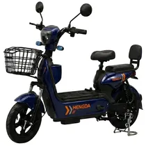 Bicicleta El...