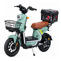 Moto Electri...