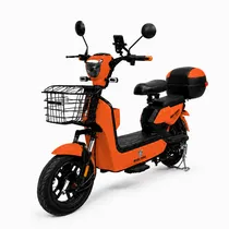 Moto Elétric...