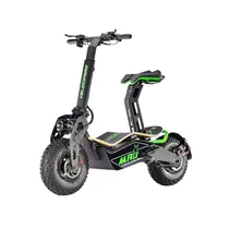 Moto Eletrica Velocifero MAD1600 1000W Green