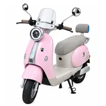  Moto Electr...