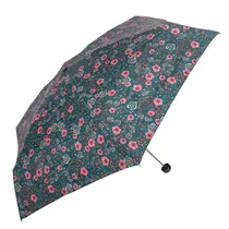 Guarda-Chuva...