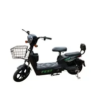 Moto Electri...