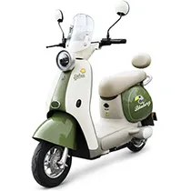  Moto Elétri...
