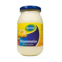  Remia Mayon...