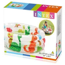  Intex Pisci...