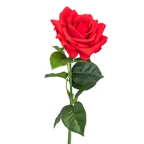  Rosa Artifi...