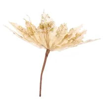  Flor Natali...