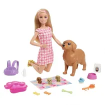 Boneca Mattel Barbie Doll And Pets HCK75