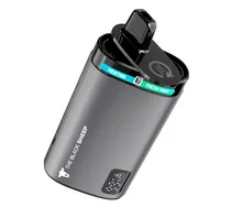 The Black Sheep Vaper Desechable 30000PUFFS Menthol/Fresh Mint