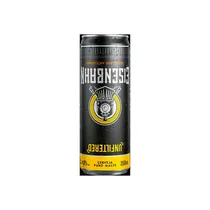 Eisenbahn Cerveza Pale Ale 350ML