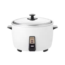 Panasonic Arrocera SR42HZPW