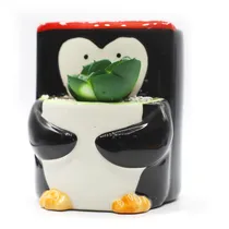  Vaso de Por...