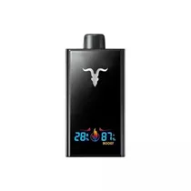  Ignite V300...