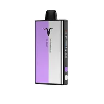 Ignite V-Mix 40K Grape Ice + Watermelon Ice 40000 Puffs