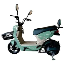 Moto Electri...