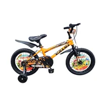 Bicicleta Ca...