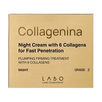  Collagenina...