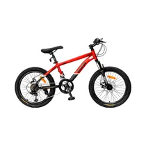  Bicicleta C...
